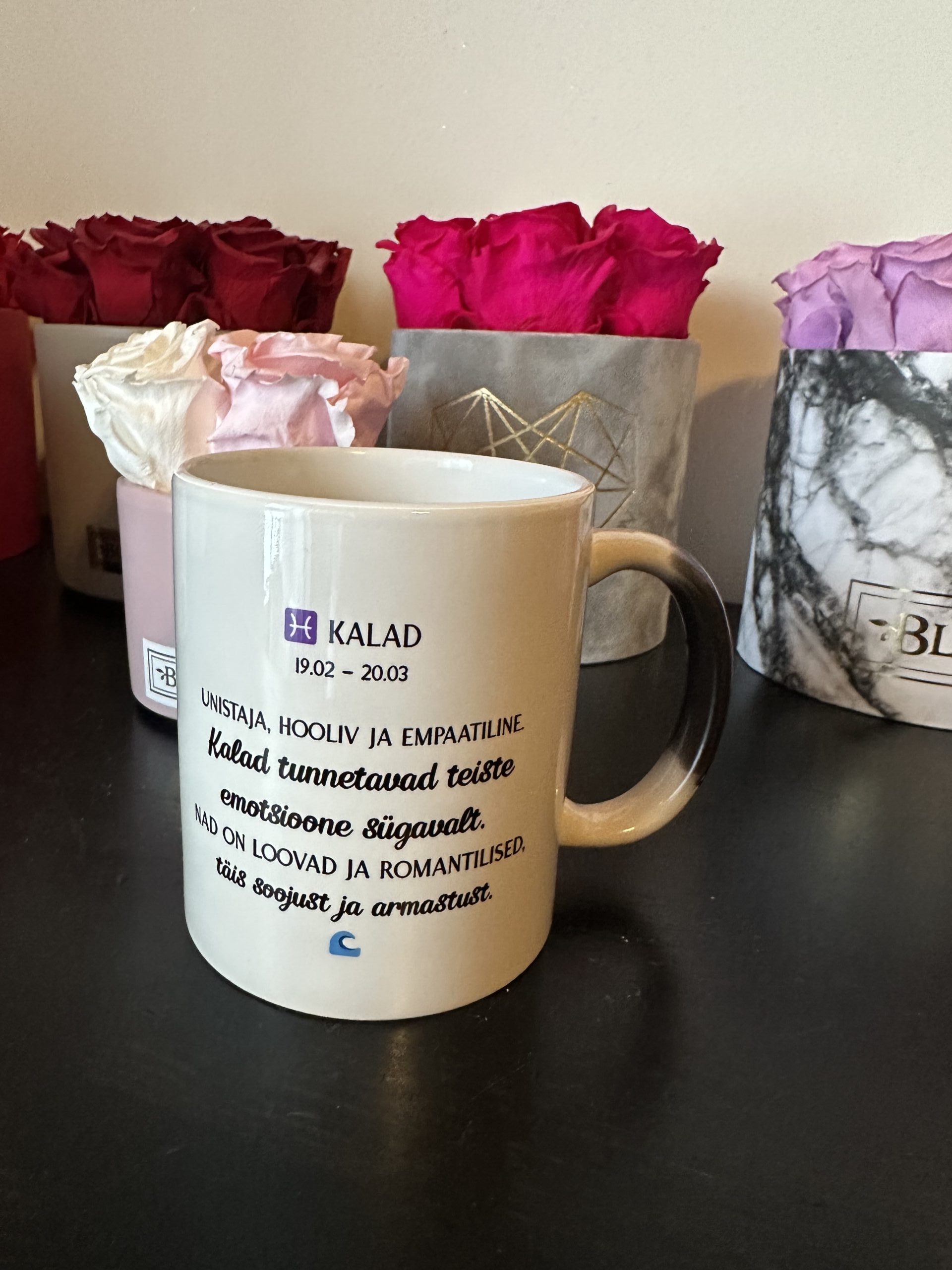 Kuumaga muutuv tähtkuju kruus - Image 12